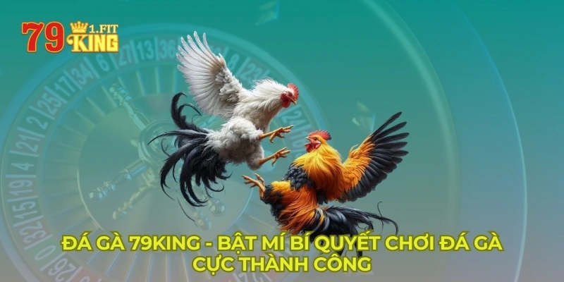 Đá Gà 79KING - Bật Mí Bí Quyết Chơi Đá Gà Cực Thành Công